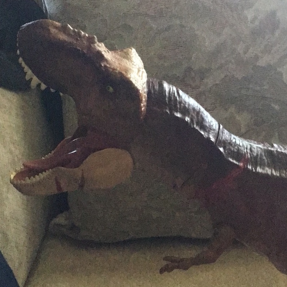 Jerasoc park T Rex